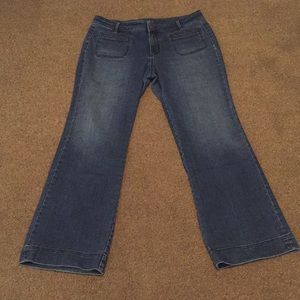 Loft Curvy Jeans